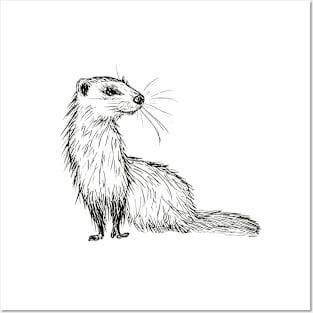 Cute ferret Posters and Art